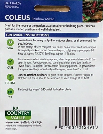 Coleus Seeds, Country Value