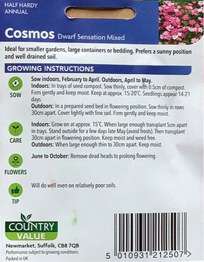 Cosmos Seeds, Dwarfe Sensation, Country Value