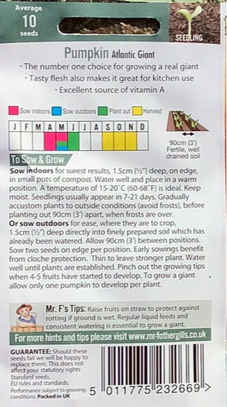 Pumpkin Atlantic Giant, Mr.Fothergills