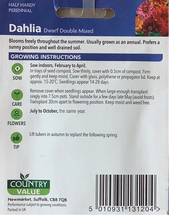 Dahlia Seeds, Country Value