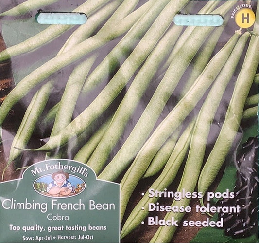 Climbing French Bean Cobra Mr.Fothergills