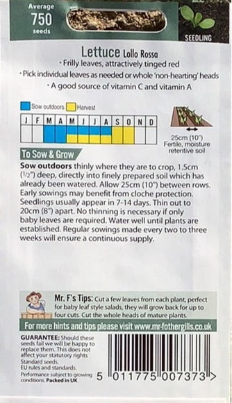 Lettuce Lollo Rossa Mr. Fothergills