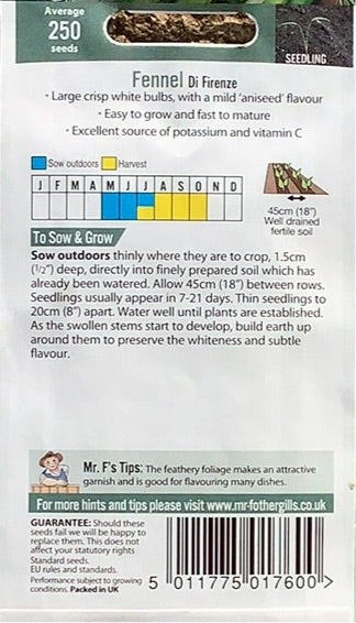 Fennel Di Firenze Mr.Fothergills