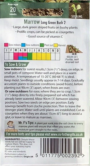 Marrow Long Green Bush 2 Mr. Fothergills