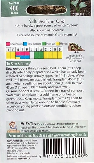 Kale Dwarf Green Curled Mr.Fothergills