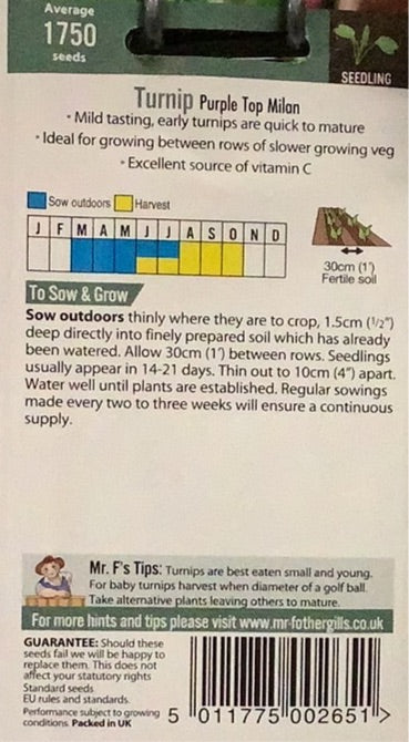 Turnip Purple Top Milan Mr. Fothergills