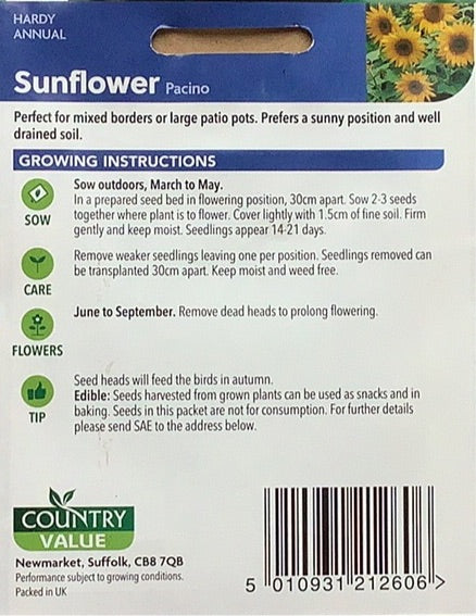 Sunflower Pacino Seeds,Country Value