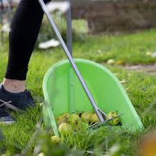 Gorilla Tidee Companion Set (Scoop,Broom,Rake)