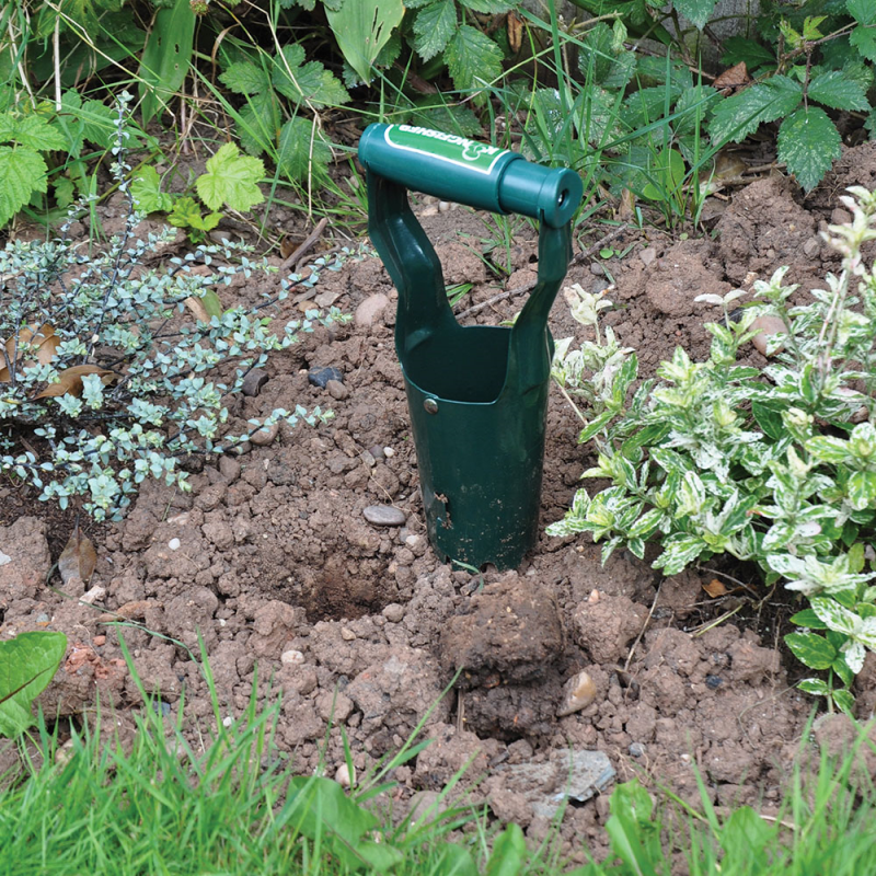 Kingfisher Bulb Planter