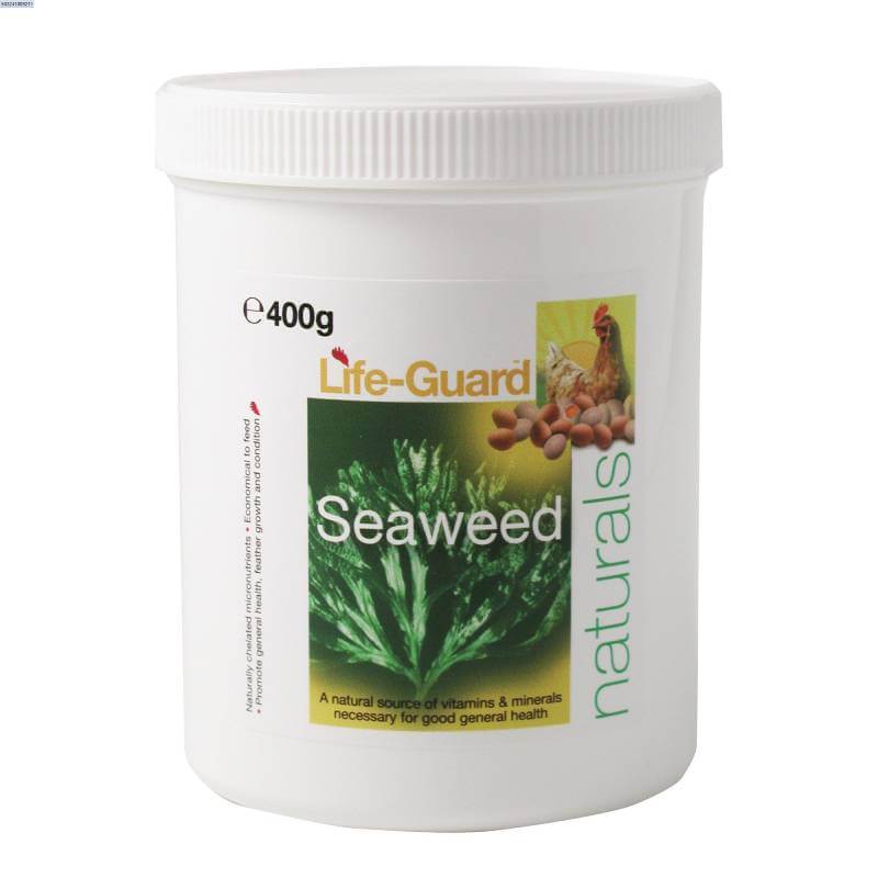 Life Guard, Seaweed 400g
