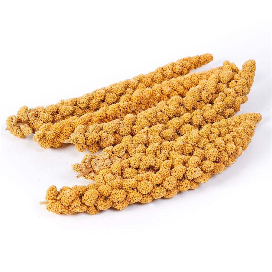 SkyGold Millet Sprays 1kg
