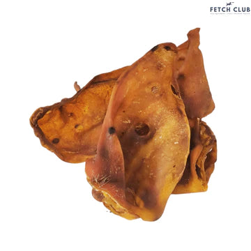 Jumbo Pig Ear