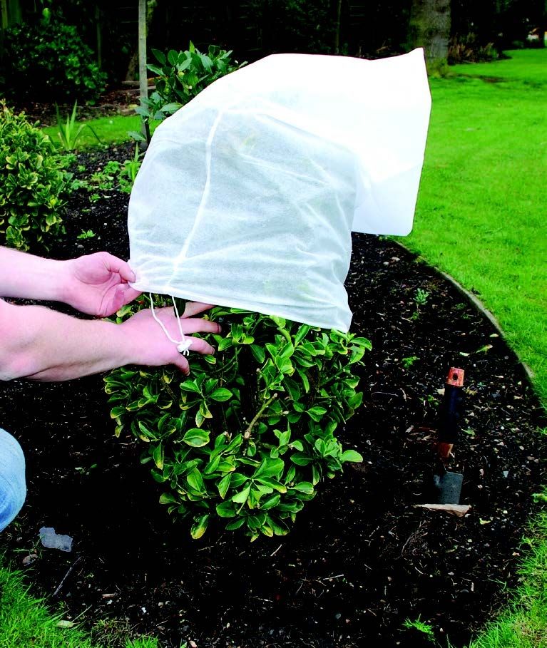 Plant Warming Jacket