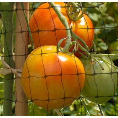 Shedmates garden netting 3m x 2m