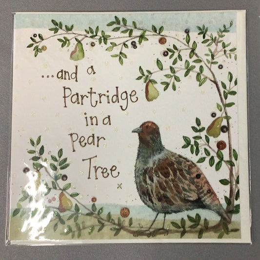 Alex Clark “Partridge” Card