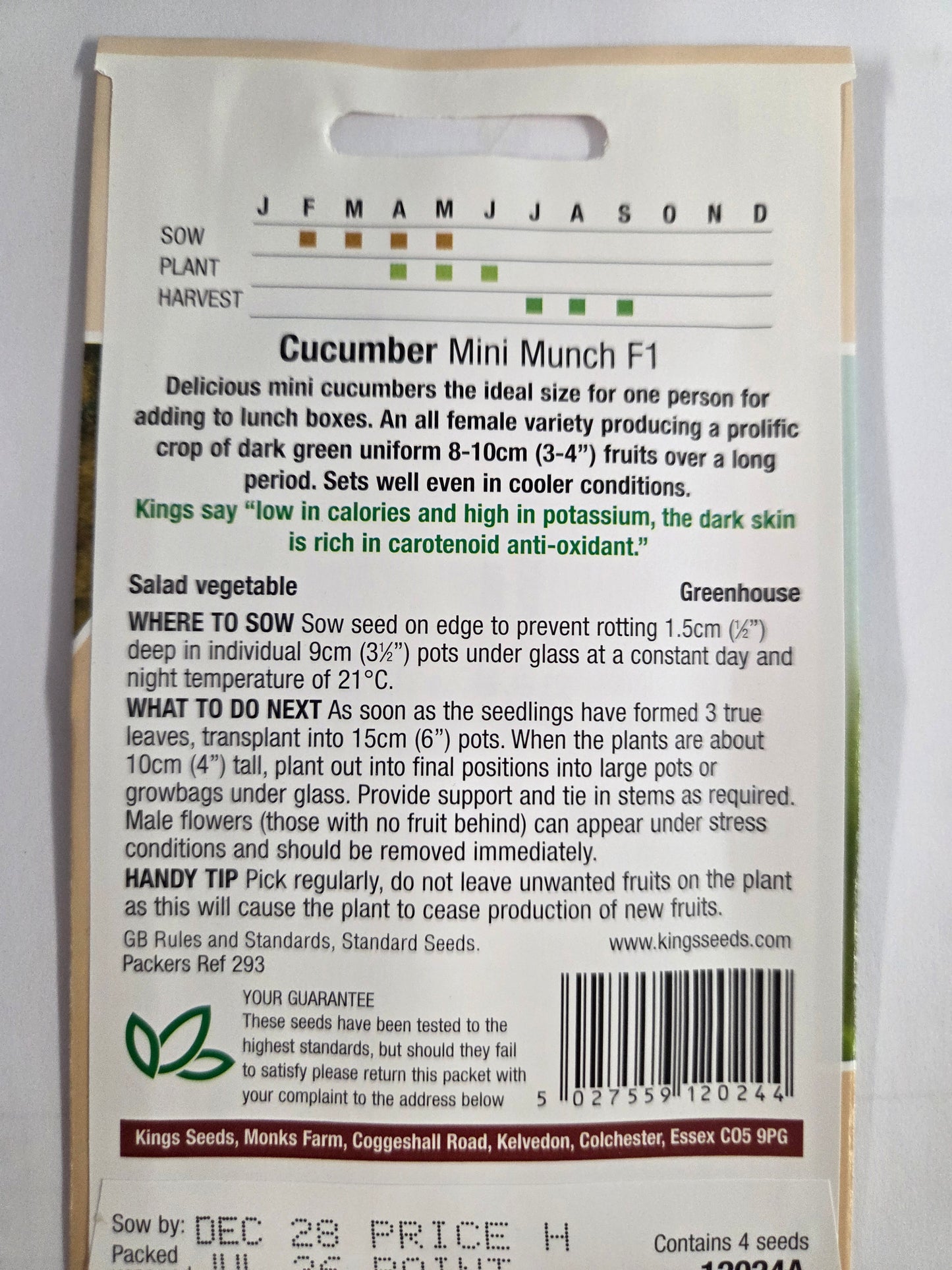 Kings Seeds Cucumber Mini Munch F1