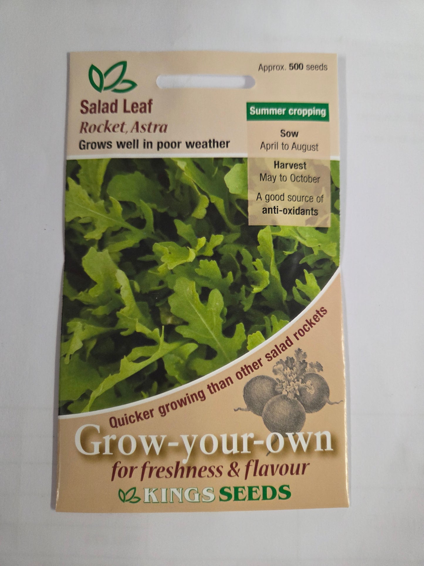 Kings Seeds Rocket Astra