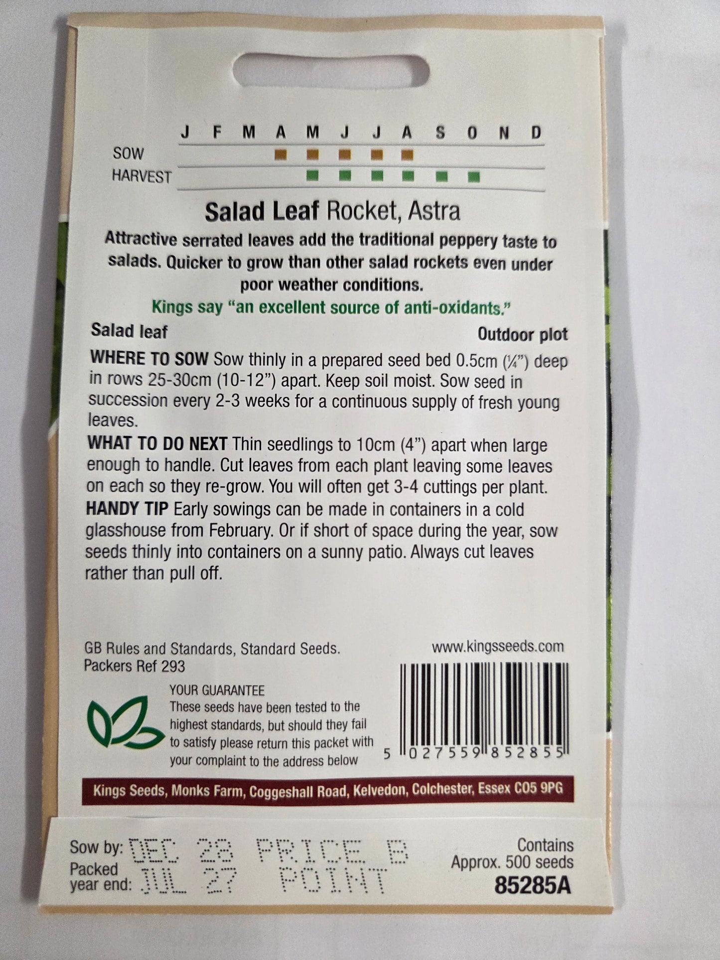 Kings Seeds Rocket Astra