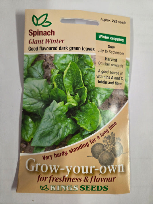 Kings Seeds Spinach Giant Winter
