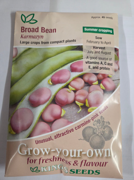 Kings Seeds Broadbean Karmazyn
