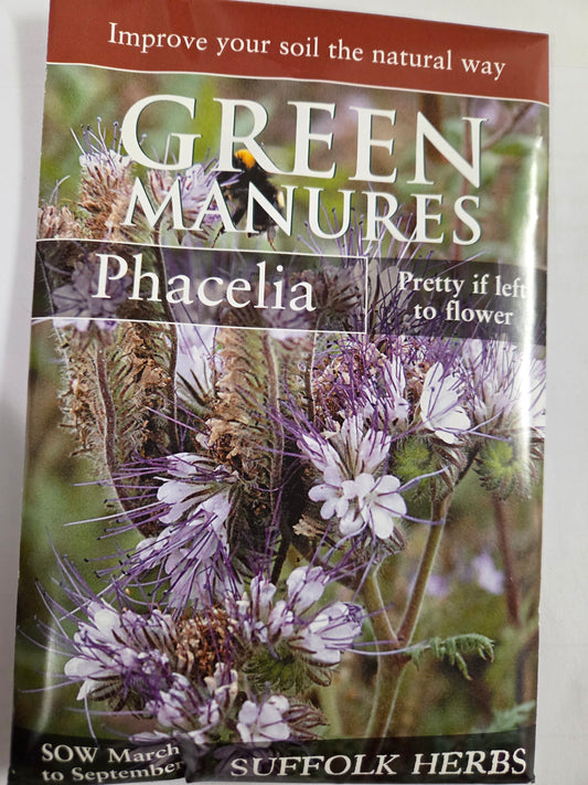 Kings Seeds Green Manure Phacelia