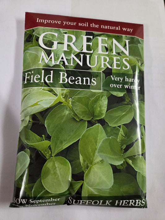 Kings Seeds Green Manure Field Beans