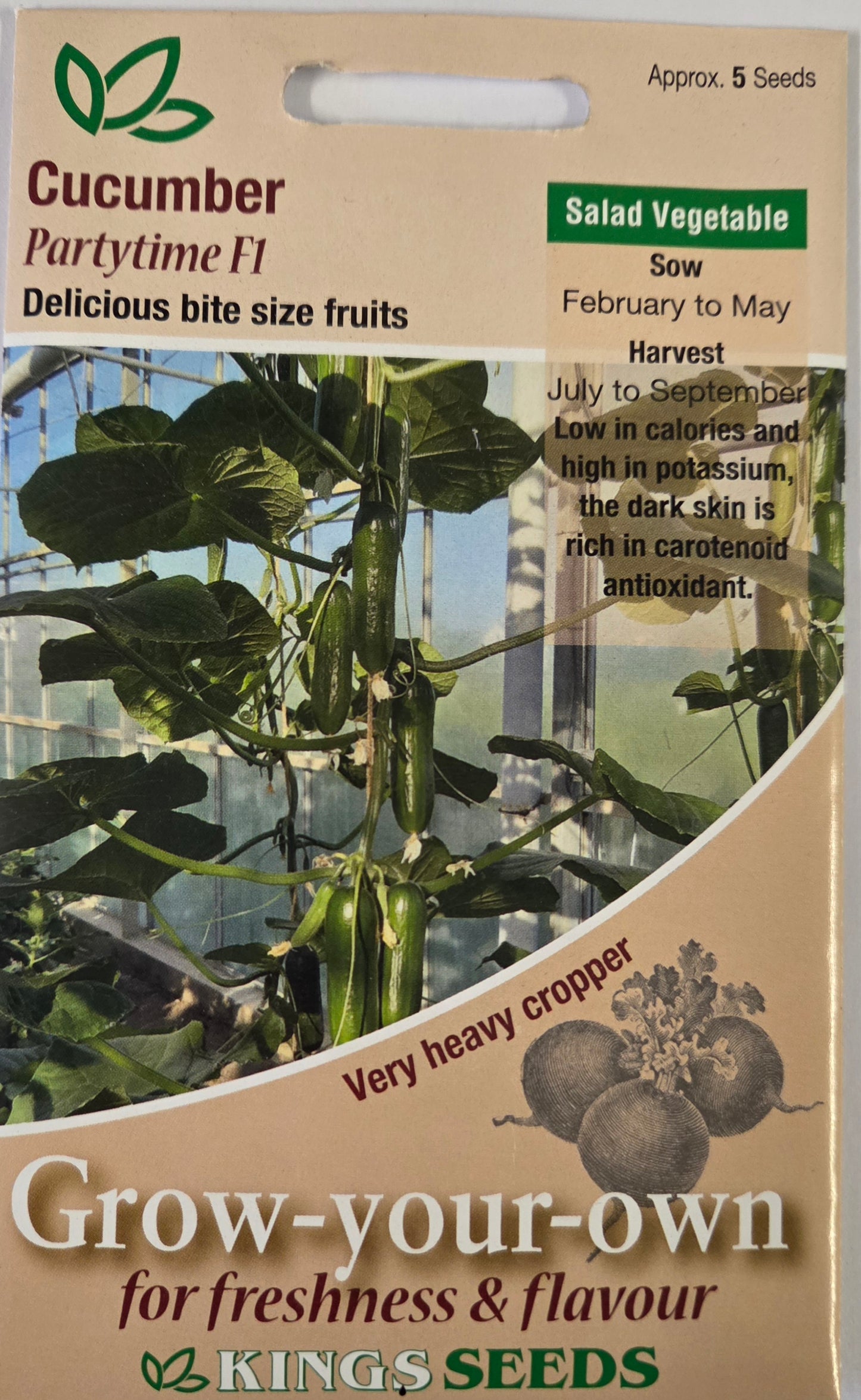 Kings Seeds Cucumber Partytime F1