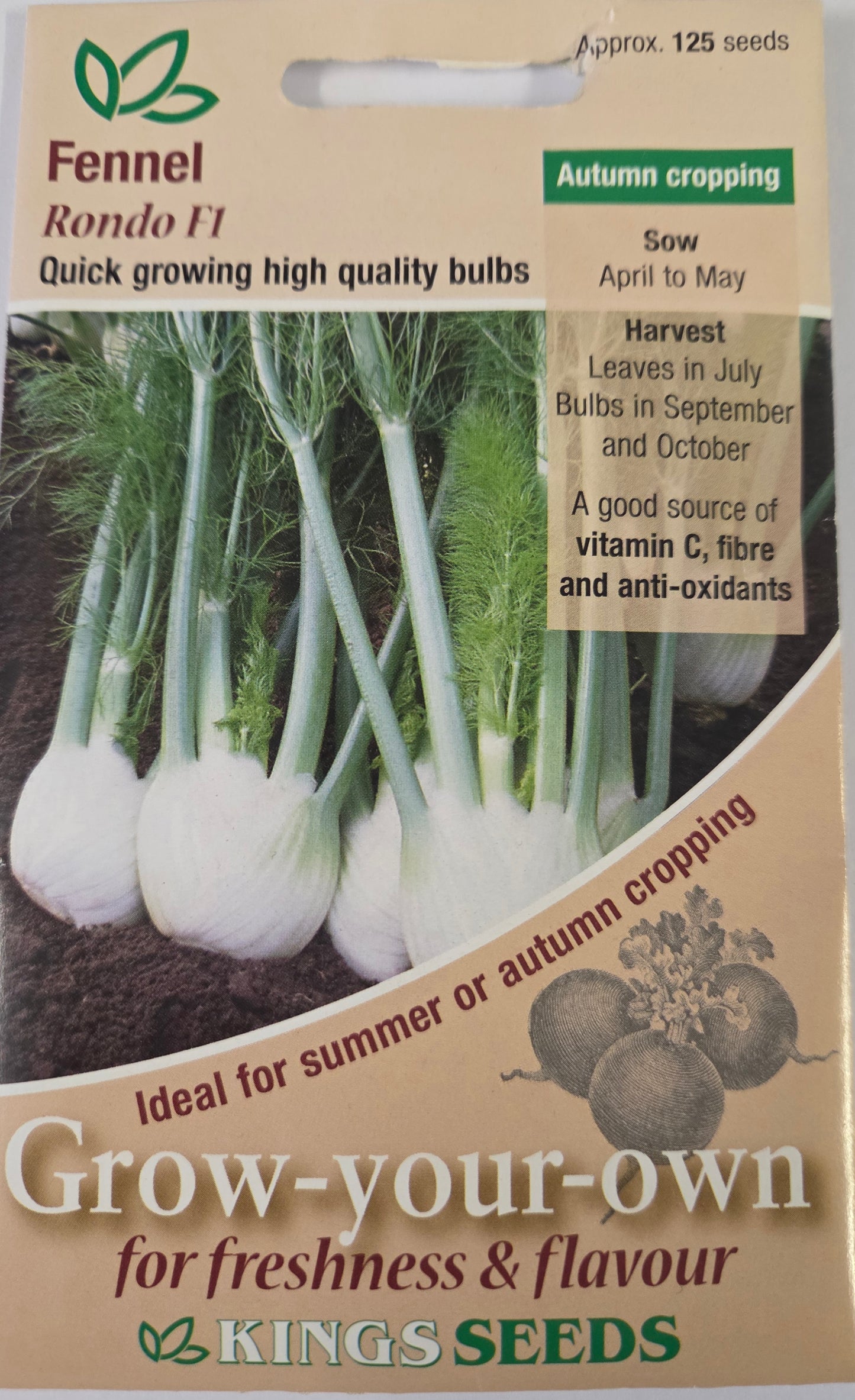 Kings Seeds Fennel Rondo F1