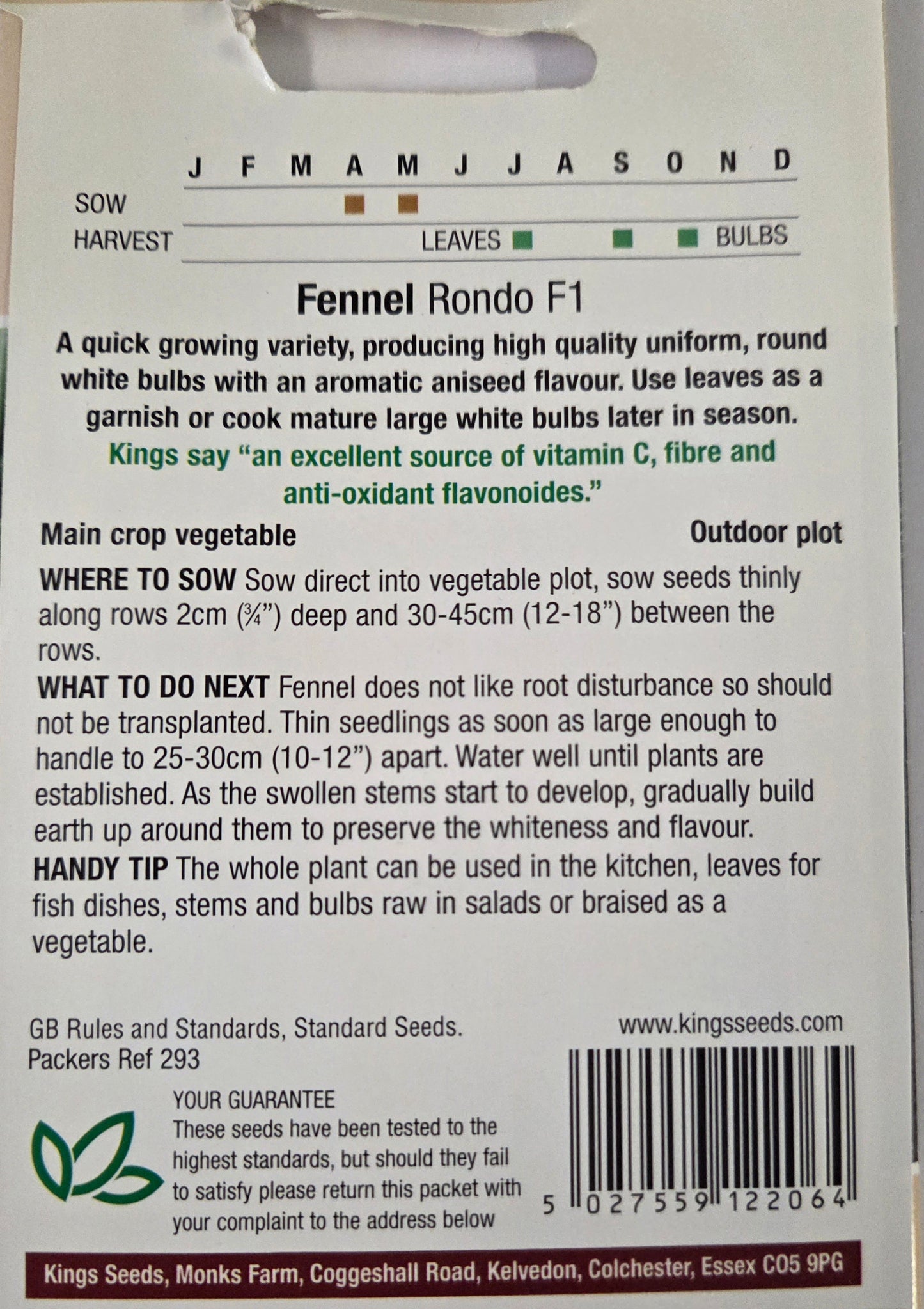Kings Seeds Fennel Rondo F1