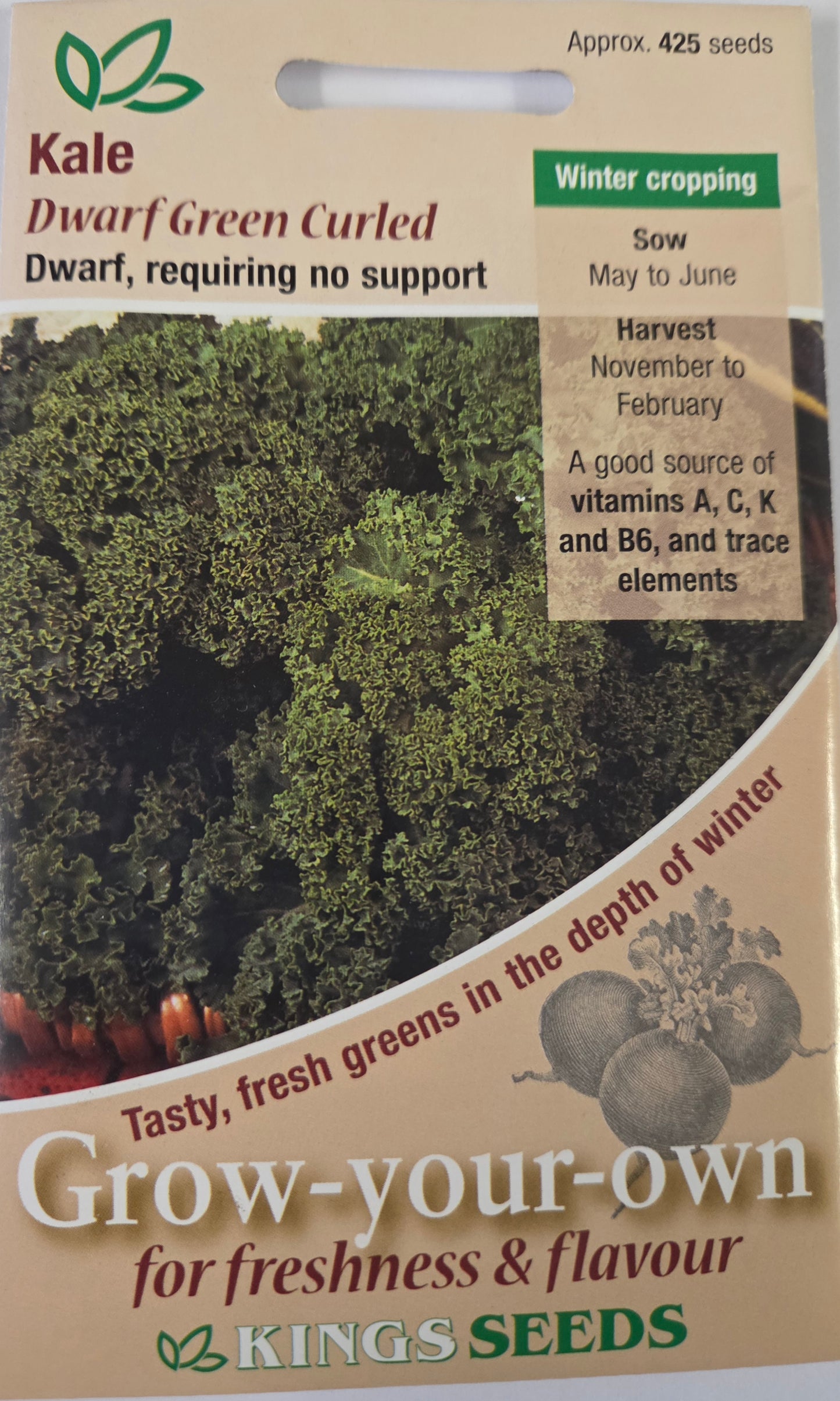 Kings Seeds Kale Dwarf Green Curled