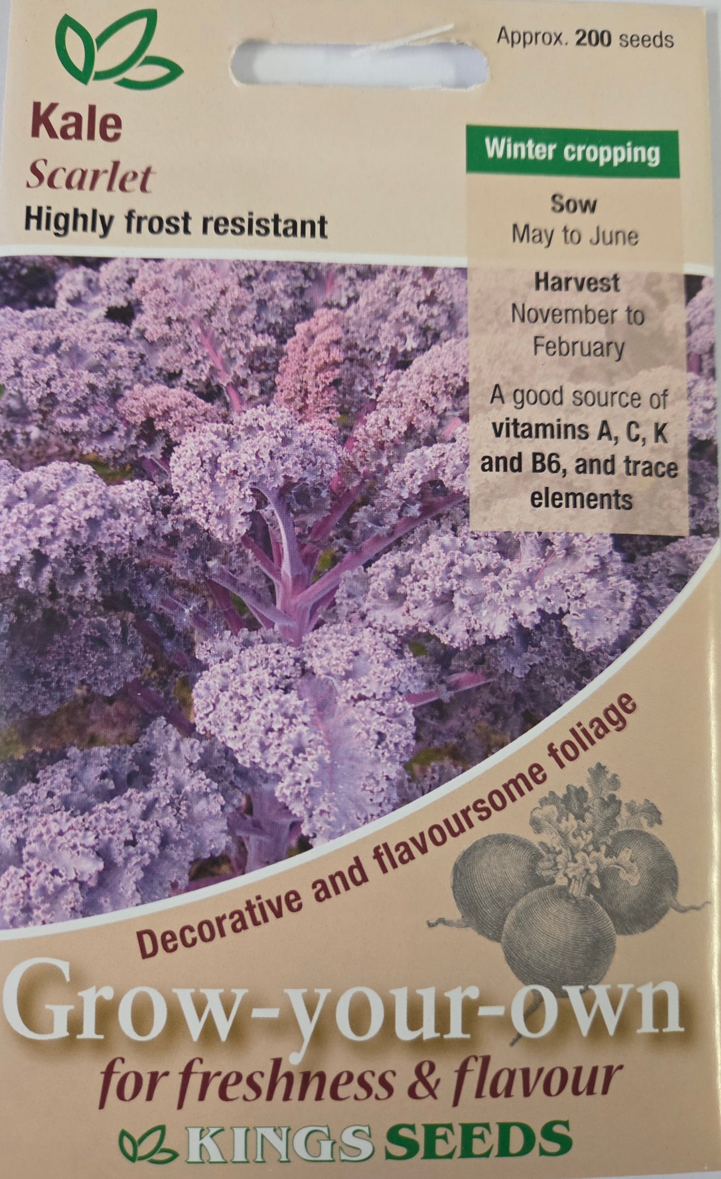 Kings Seeds Kale Scarlet