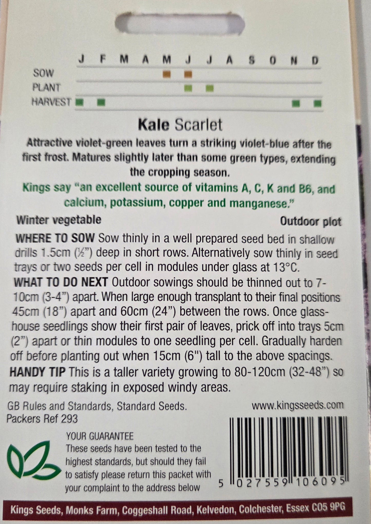 Kings Seeds Kale Scarlet