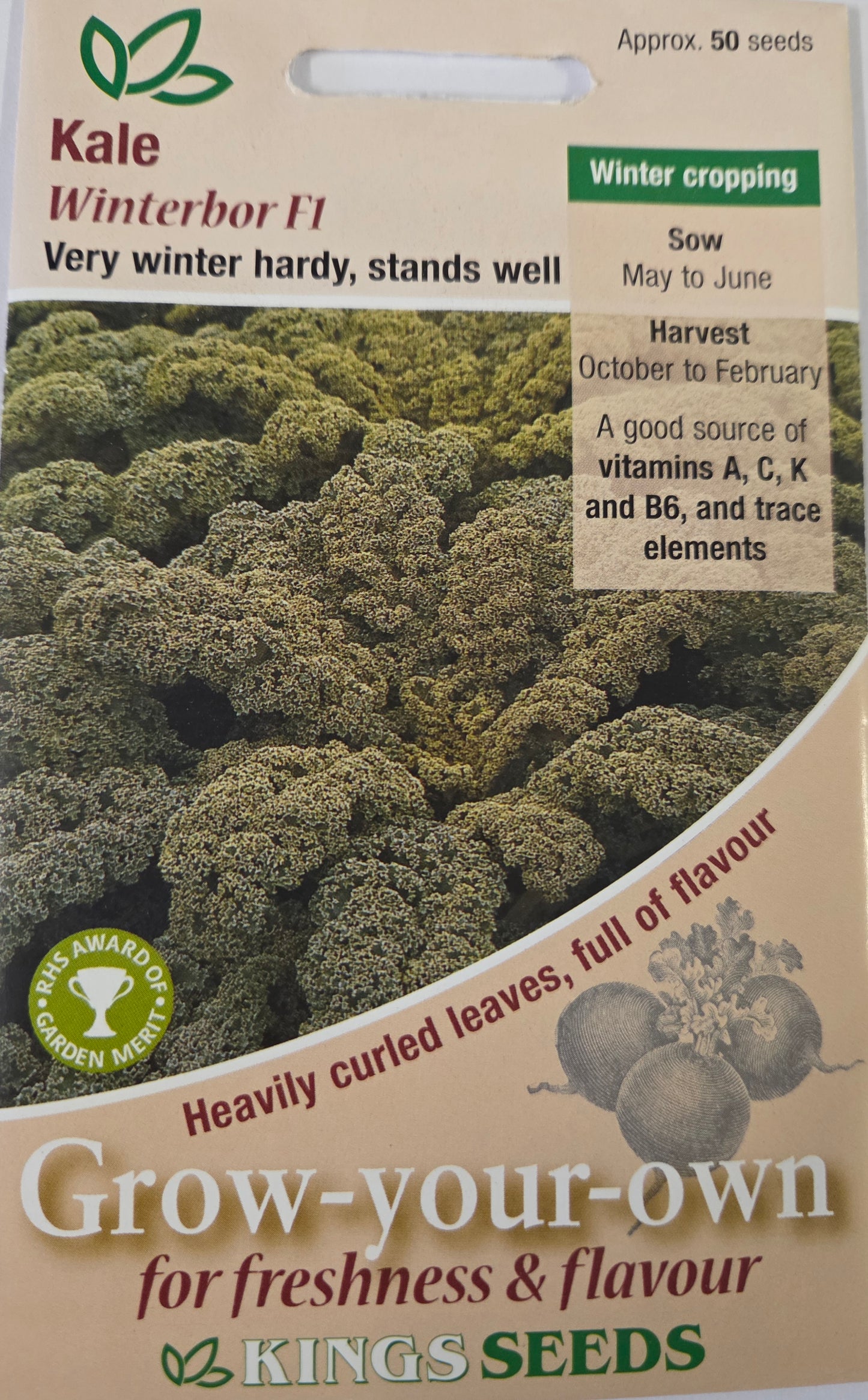 Kings Seeds Kale Winterbor F1