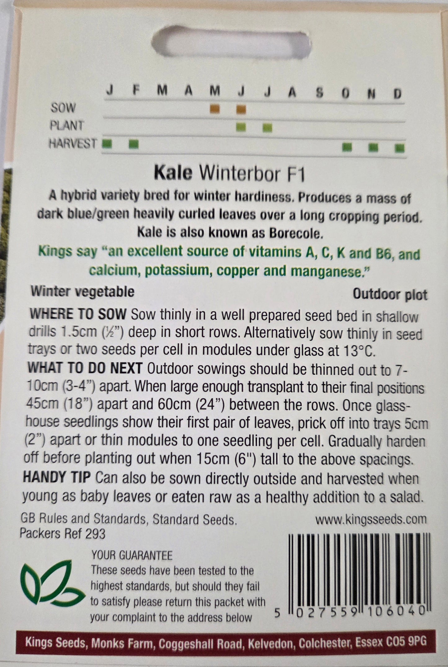 Kings Seeds Kale Winterbor F1