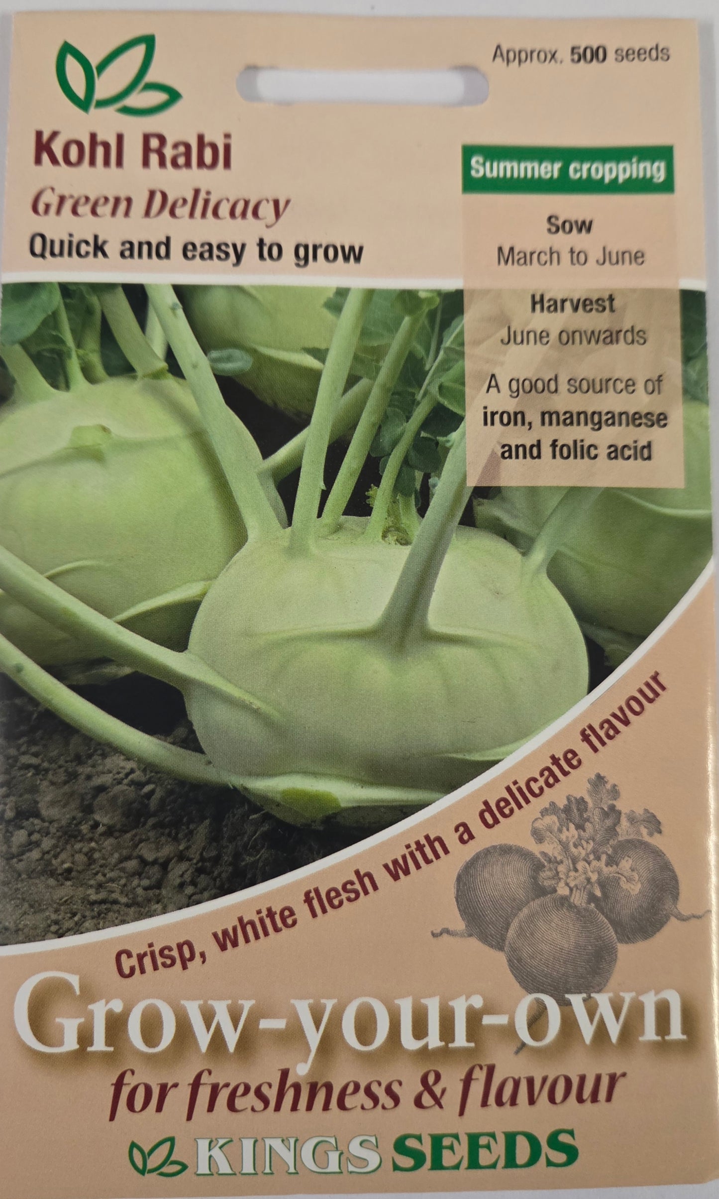 Kings Seeds Kohl Rabi Green Delicacy