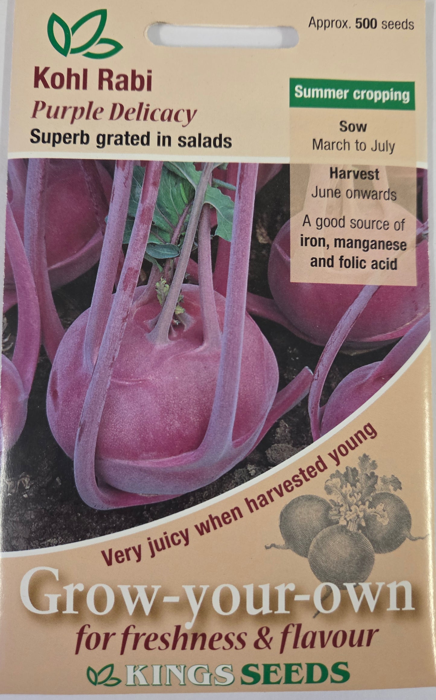 Kings Seeds Kohl Rabi Purple Delicacy