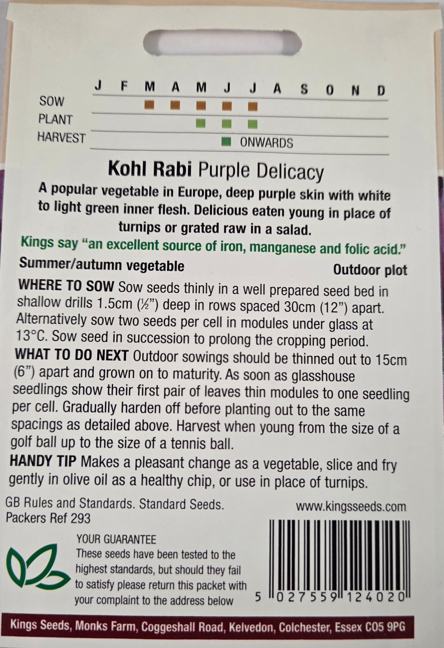 Kings Seeds Kohl Rabi Purple Delicacy
