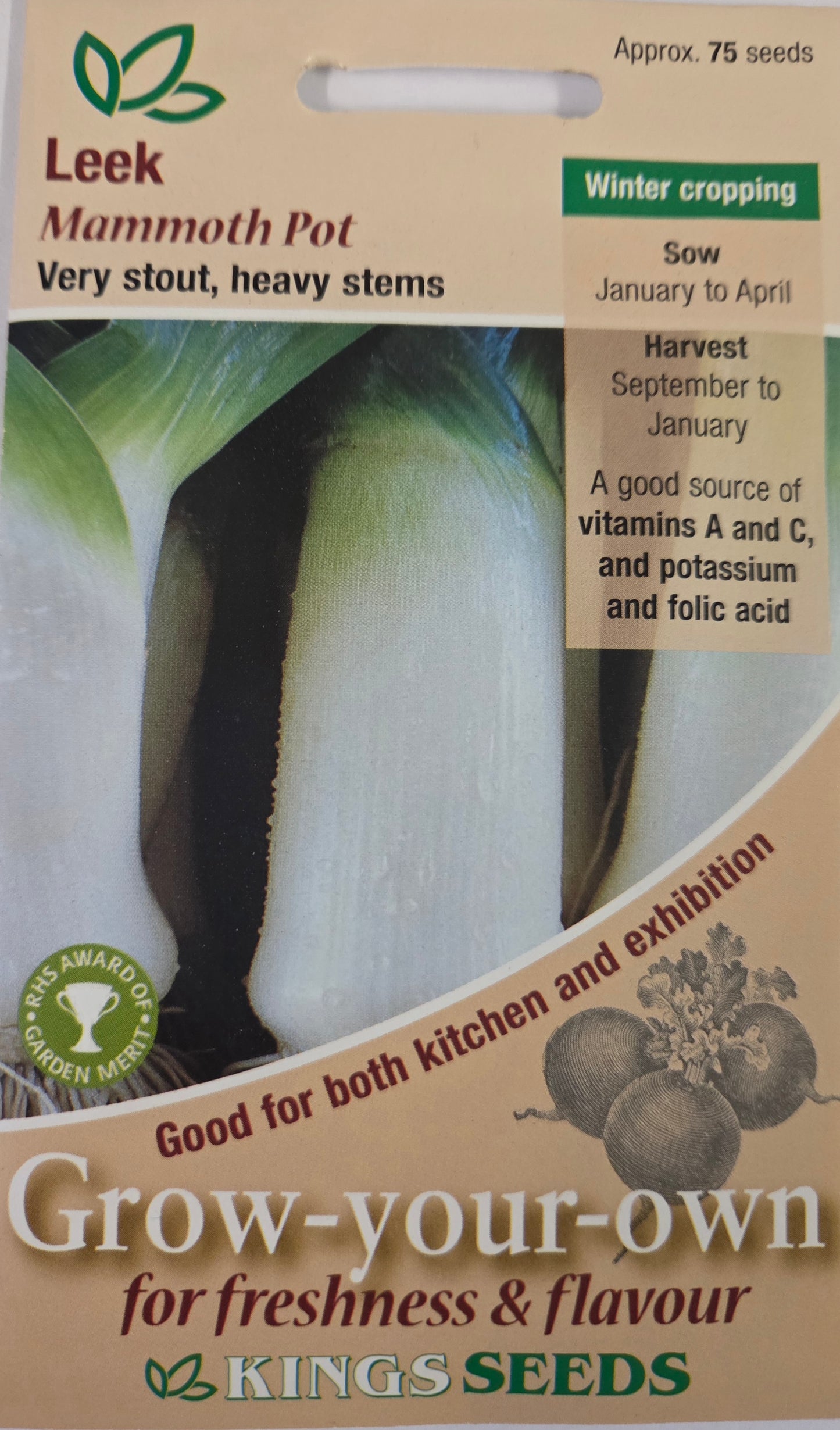 Kings Seeds Leek Mammoth Pot