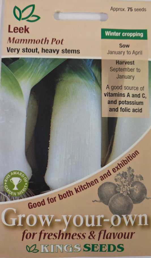Kings Seeds Leek Mammoth Pot