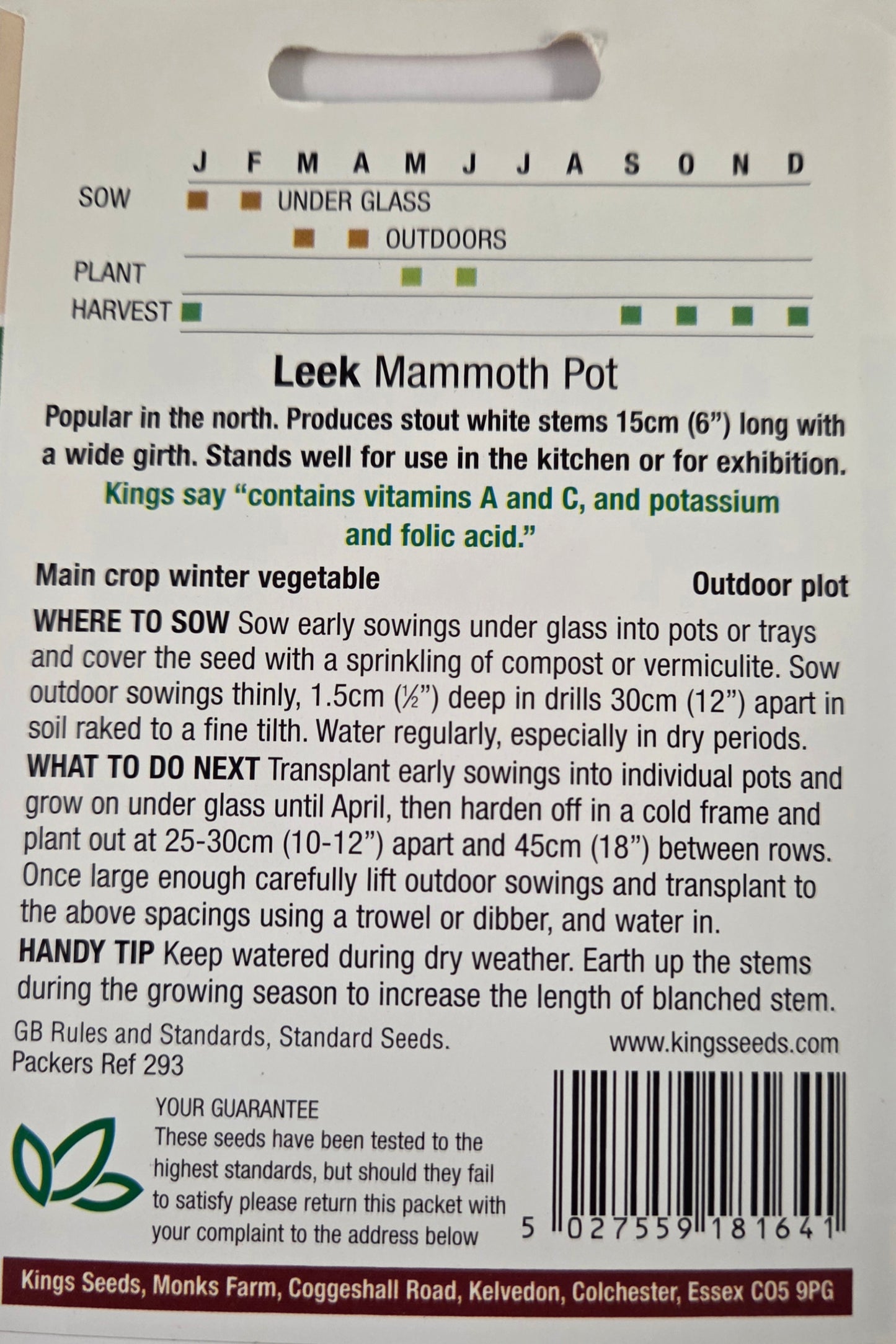 Kings Seeds Leek Mammoth Pot