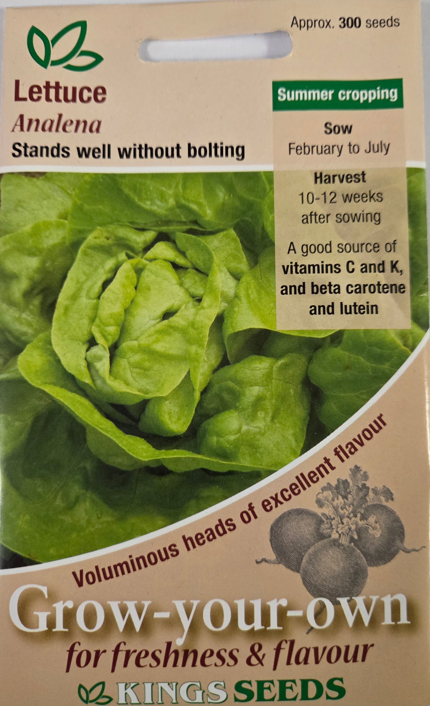 Kings Seeds Lettuce Analena