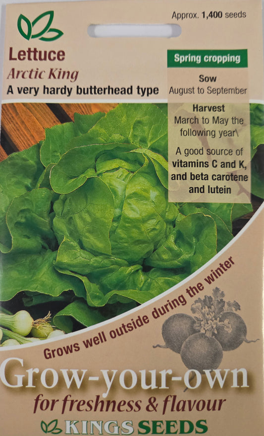 Kings Seeds Lettuce Arctic King