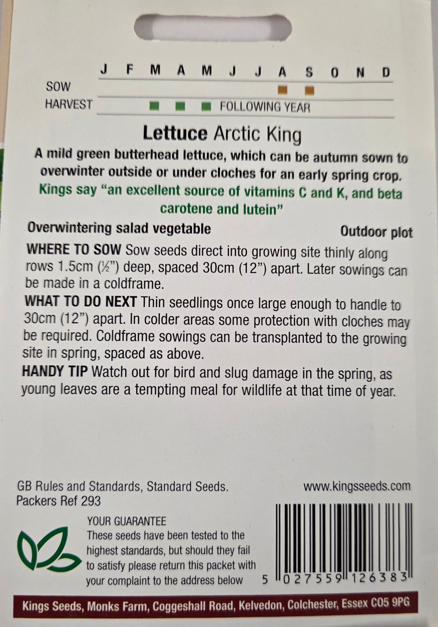 Kings Seeds Lettuce Arctic King