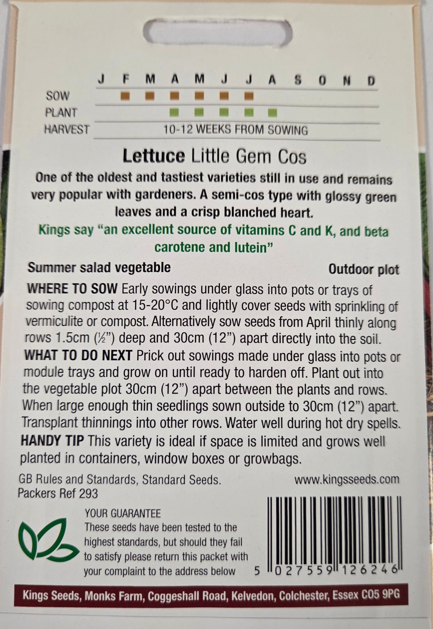 Kings Seeds Lettuce Little Gem Cos