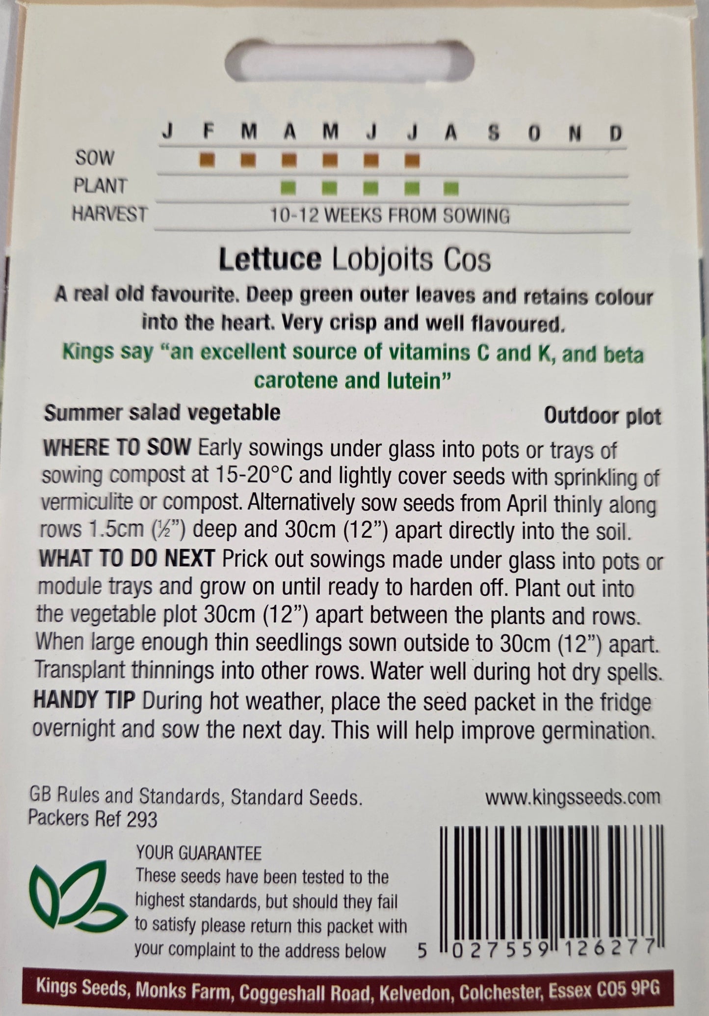 Kings Seeds Lettuce Lobjoits Cos