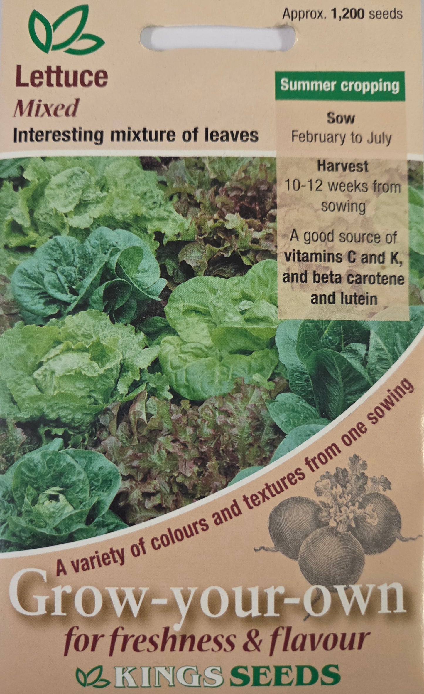 Kings Seeds Lettuce Mixed