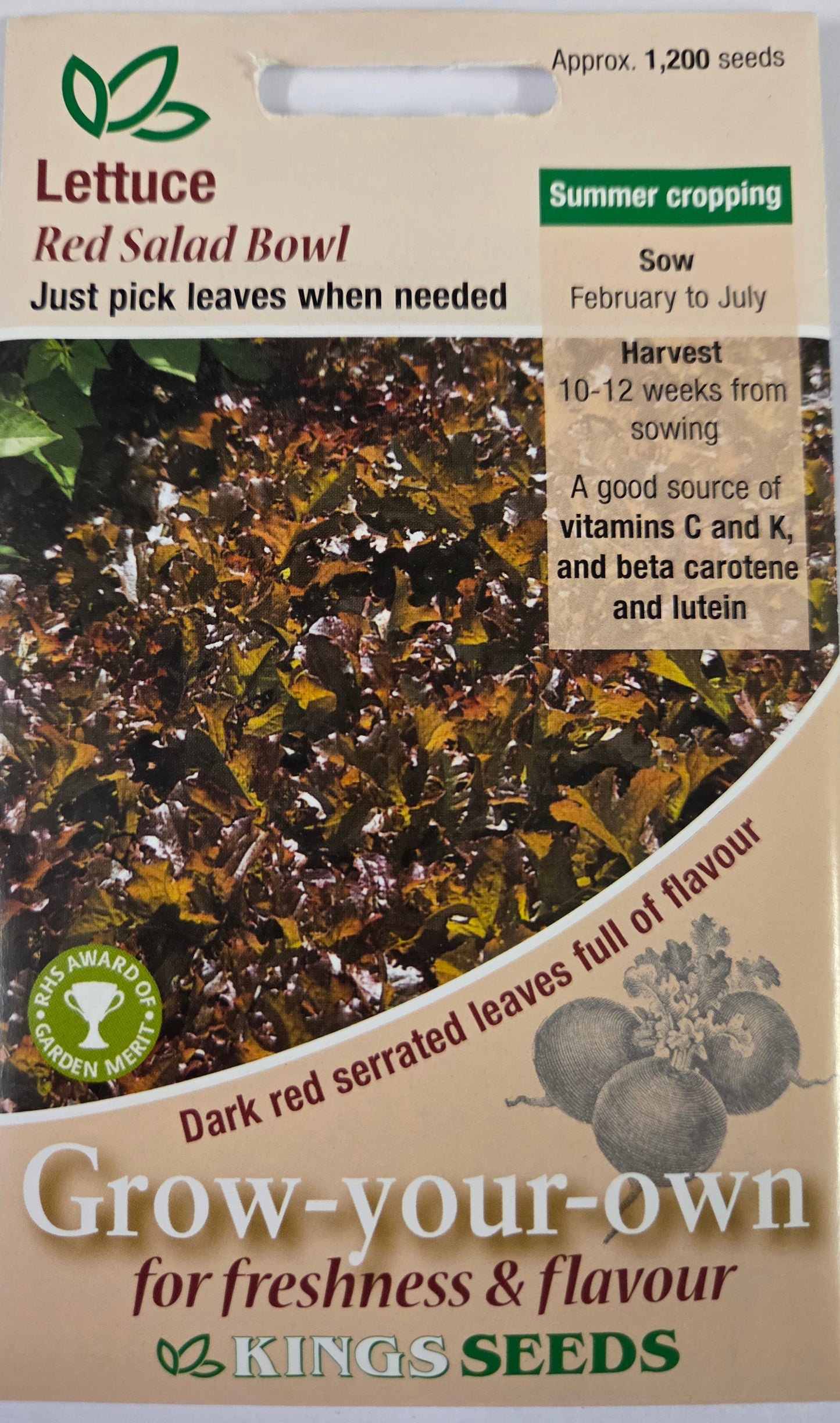 Kings Seeds Lettuce Red Salad Bowl