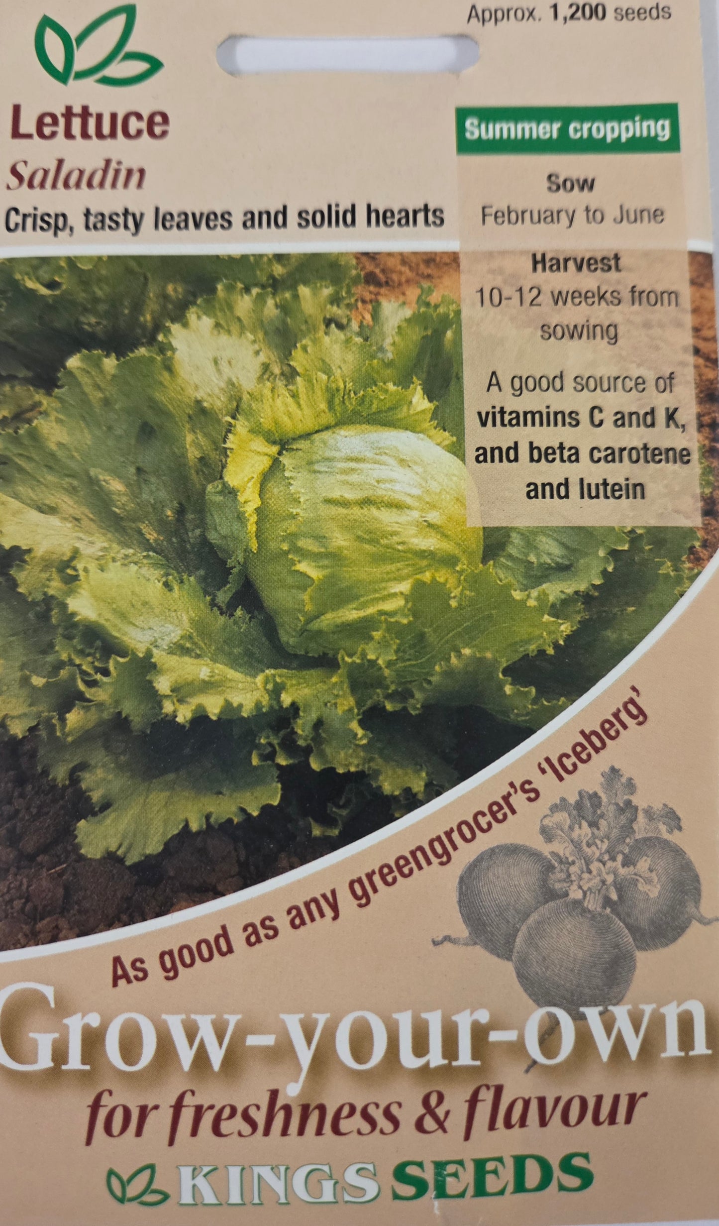 Kings Seeds Lettuce Saladin
