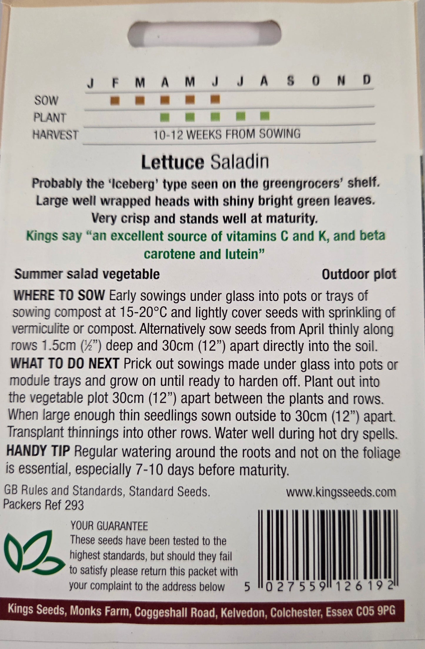 Kings Seeds Lettuce Saladin