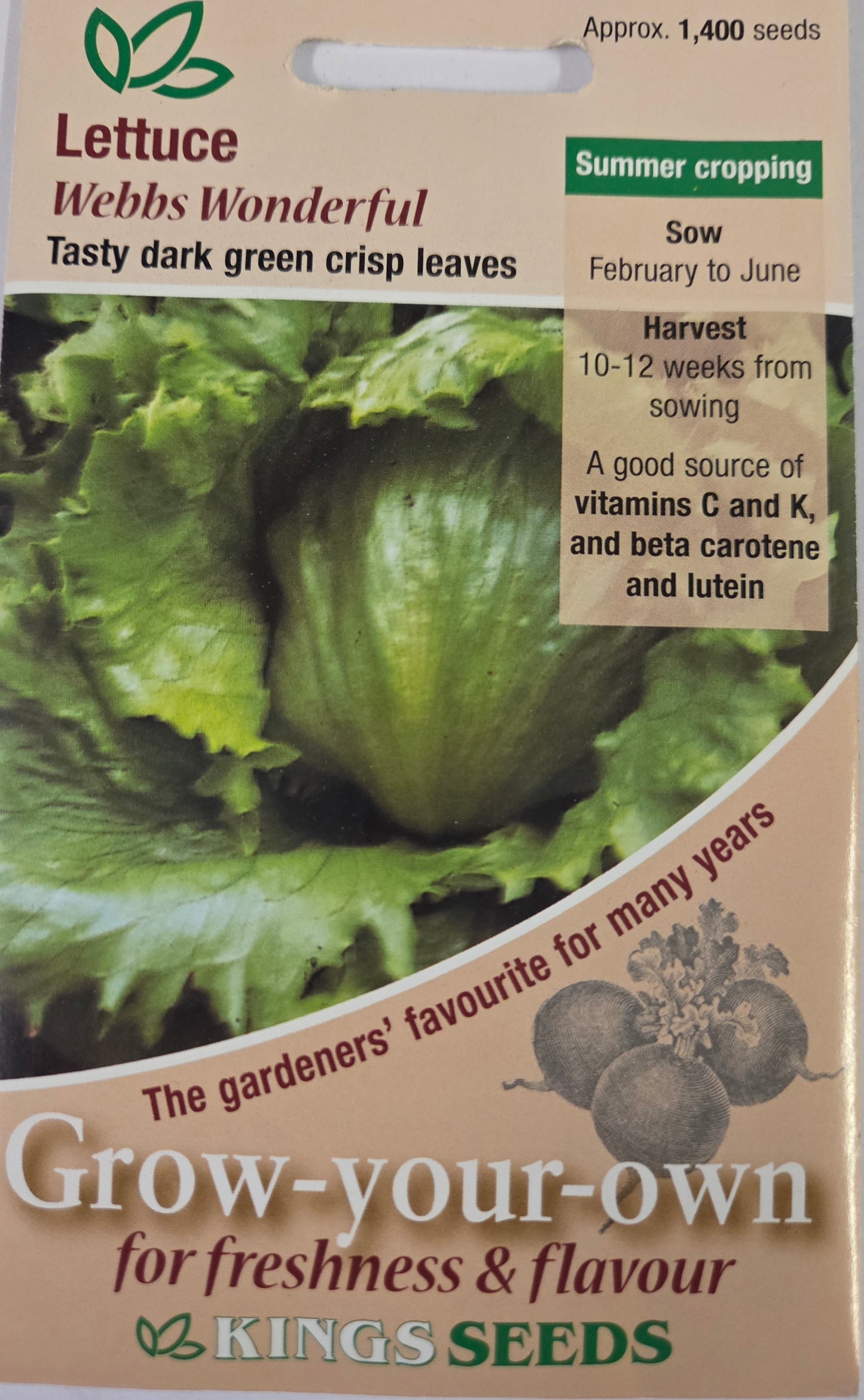 Kings Seeds Lettuce Webbs Wonderful